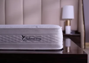 Plush Mattress Company